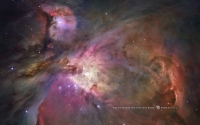 M42 la Nébuleuse d'Orion