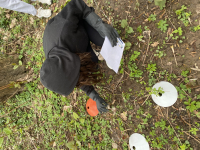 Prélèvement des plastiques