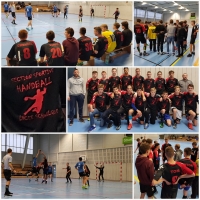 section sportive handball schwilgué