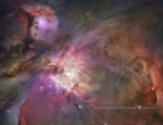 M42 la Nébuleuse d'Orion
